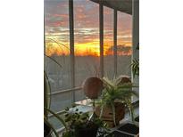 Cozy balcony overlooking a vibrant sunrise, framed by indoor plants and natural light at 3060 Pharr Court N N Ct # 607, Atlanta, GA 30305