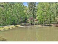 Beautiful view of home behind a pond with mature trees and lush greenery surrounding the property at 337 Andrew Bailey Rd, Sharpsburg, GA 30277