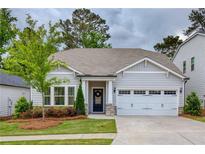 Charming single-story home with a well-manicured lawn and inviting curb appeal at 714 Chipping Sparrow St, Canton, GA 30115