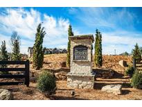 Community entrance sign, 'The Enclave at Azalea Hills', with landscaping and a glimpse of the neighborhood homes at 231 Ivey Ter, Temple, GA 30179