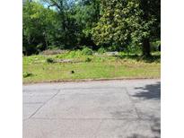 Street view of vacant lot offering a unique opportunity to build your dream home in a desirable area at 2637 Johnson St, Lithonia, GA 30058