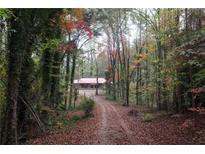 Scenic view of home nestled in a wooded lot featuring mature trees and a long driveway at 618 Old Doss Dr, Canton, GA 30115