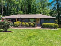Charming single-story home with a lush, green lawn and mature trees in a tranquil setting at 3193 Trasher Cir, Decatur, GA 30032