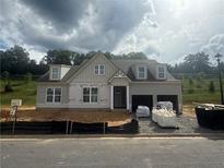 Charming new construction home featuring a covered front entry and two-car garage at 313 Willow Cv, Canton, GA 30114