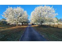 Scenic tree lined driveway with flowering trees creating a welcoming entrance to the property at 2452 Camp Mitchell Rd, Grayson, GA 30017