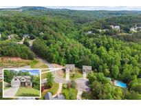 Scenic aerial view of a home nestled within a lush, green wooded community with a swimming pool at 275 Creek View Pl, Canton, GA 30114