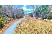 Long paved driveway leading to the home, surrounded by trees and open space, offering privacy at 7460 Highway 101 N, Rockmart, GA 30153
