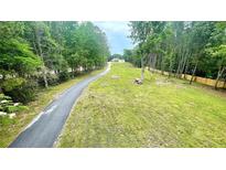 Long driveway leads to a beautiful home surrounded by lush greenery and mature trees at 7460 Highway 101 N, Rockmart, GA 30153
