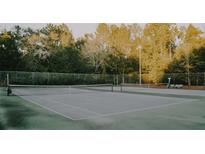 Well-maintained tennis courts provide residents with recreational opportunities and an active lifestyle at 1090 Crown River Pkwy, Mcdonough, GA 30252
