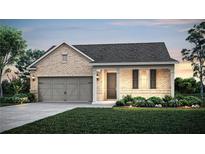 Charming single-story brick home with well-manicured lawn and attached two-car garage at 244 Nesta Grove, Locust Grove, GA 30248