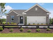 Charming single-Gathering home with gray brick, black fence, and manicured landscaping at 244 Nesta Grove, Locust Grove, GA 30248