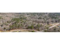 Scenic aerial view showing surrounding trees and winding road near the property at 176 Old Burnt Hickory Rd, Douglasville, GA 30134