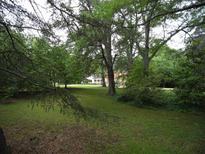Large backyard featuring mature trees and lush greenery at 1811 Murdock Rd, Marietta, GA 30062