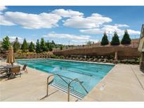 Community pool featuring lap lanes, lounge chairs, and well-manicured landscaping at 2182 Talmai Dr, Snellville, GA 30078