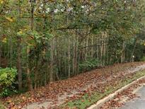 View of street with leaves on sidewalk and trees in background at 1303 Cobblemill Nw Way, Kennesaw, GA 30152