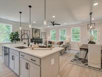 Open-concept kitchen features stainless steel appliances, a central island and opens to the living and dining areas at 116 Winsome Way, Woodstock, GA 30188