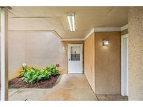 Cozy front entrance featuring a white door, lush plants, and exterior lighting at 2039 Oak Park Ln, Decatur, GA 30032