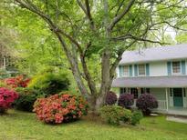 Charming home featuring a lush front yard with colorful azaleas and a mature tree, offering curb appeal at 3875 Wintergreen Ct, Marietta, GA 30062
