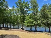 A scenic view of the lake from the landscaped yard, featuring a dock for relaxing by the water at 8316 Hewlett Rd, Sandy Springs, GA 30350