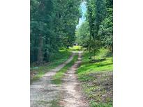 Long, private driveway with a natural, wooded surrounding leading to the property at 6394 Shore Dr, Douglasville, GA 30135