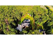 Breathtaking aerial view of a luxury home with a private pool nestled within a lush green forest at 150 Seals Rd, Dallas, GA 30157