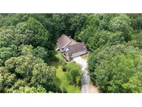 An aerial view of a secluded home surrounded by lush greenery at 7448 Berea Road, Winston, GA 30187