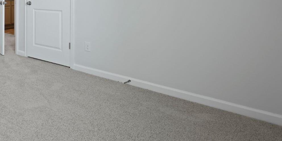 Photo #46