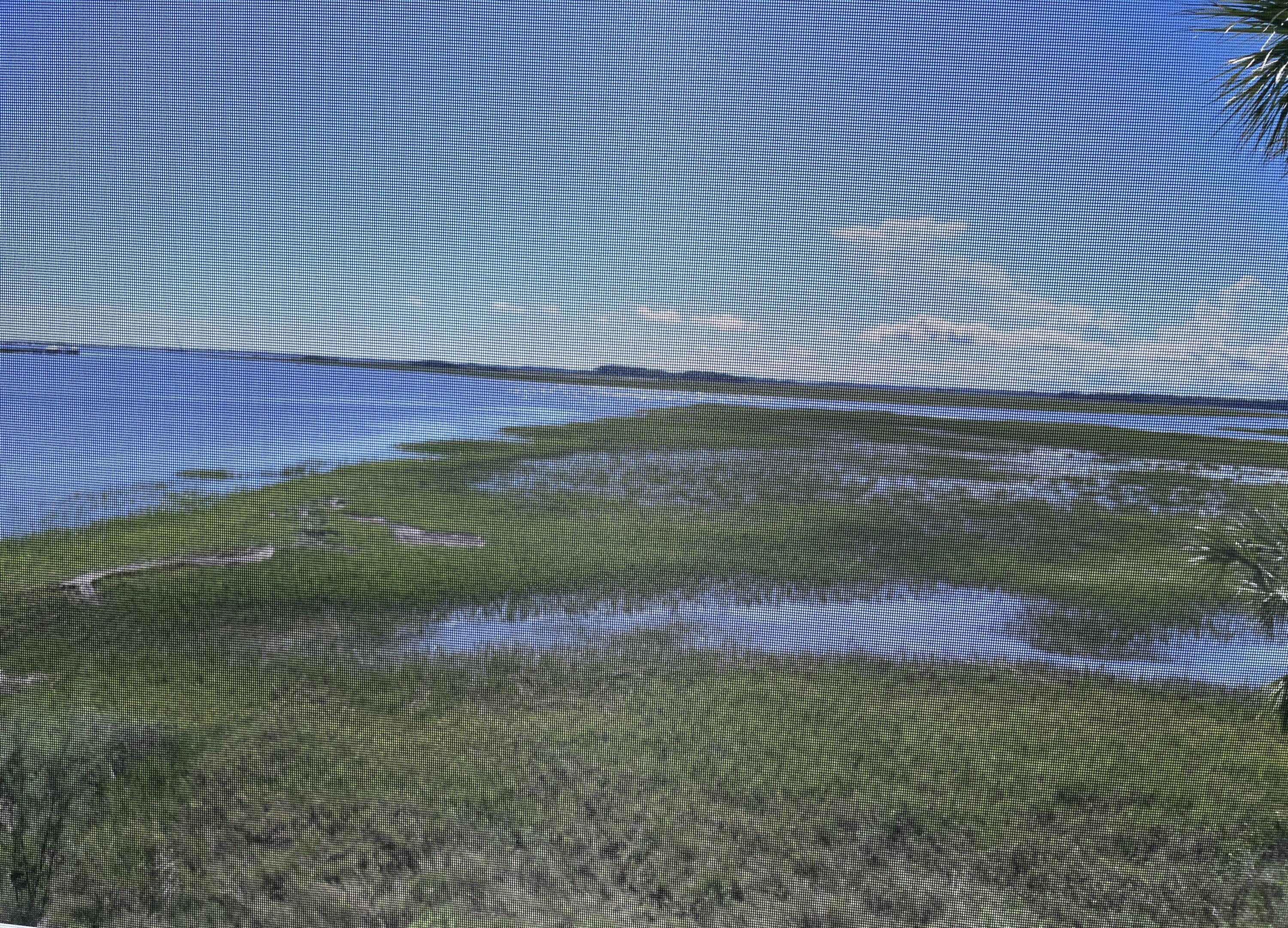 Photo #27
