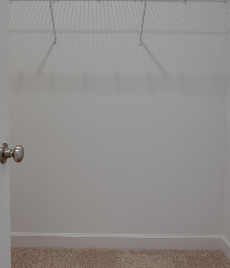 Photo #24