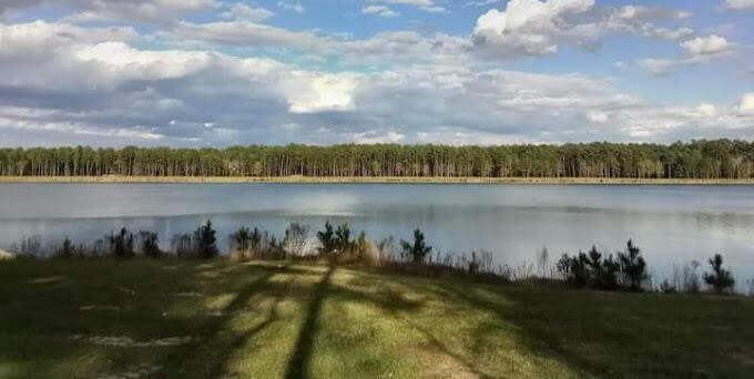 Photo #29