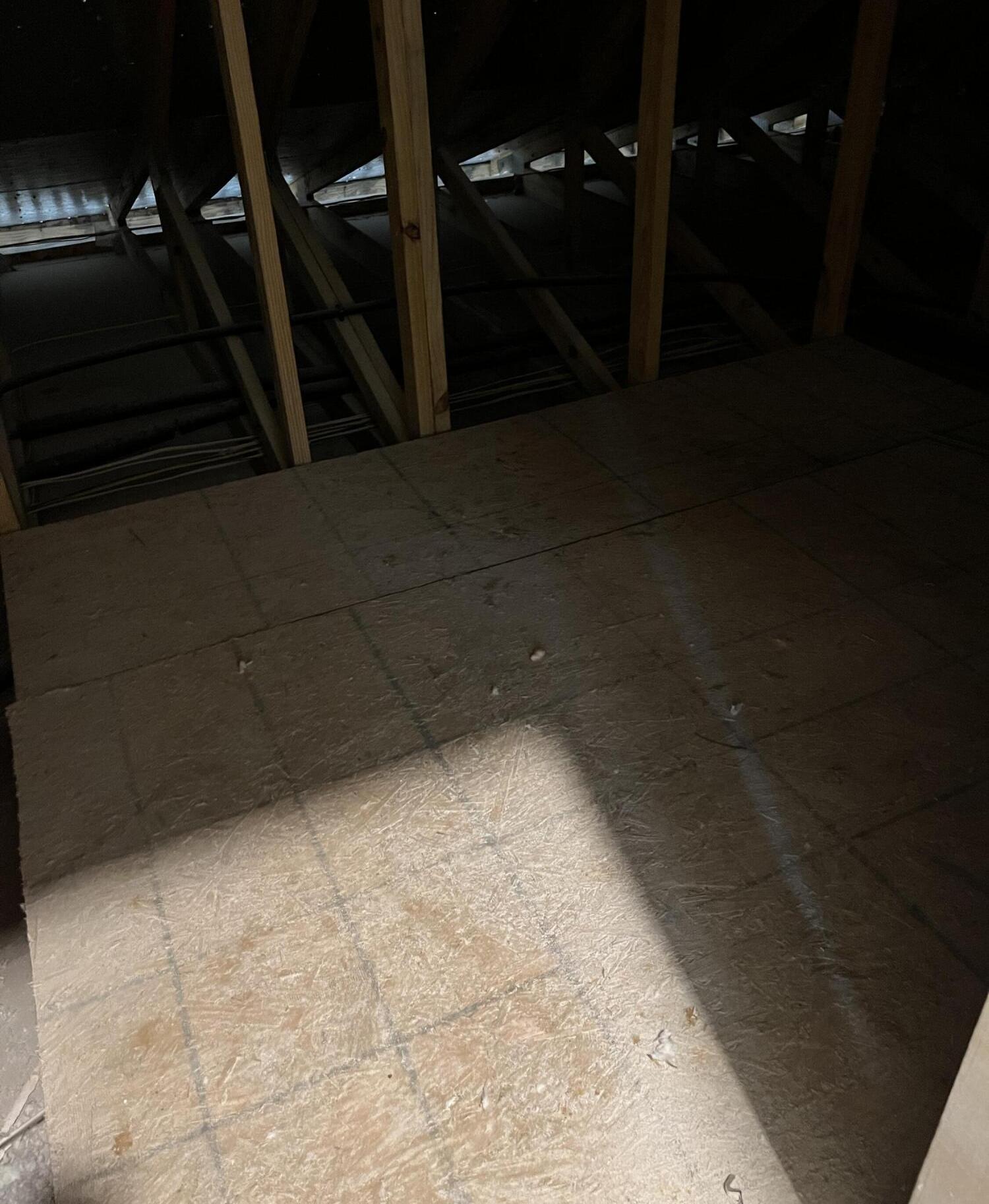Photo #26