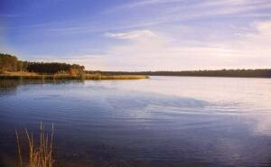 Photo #15