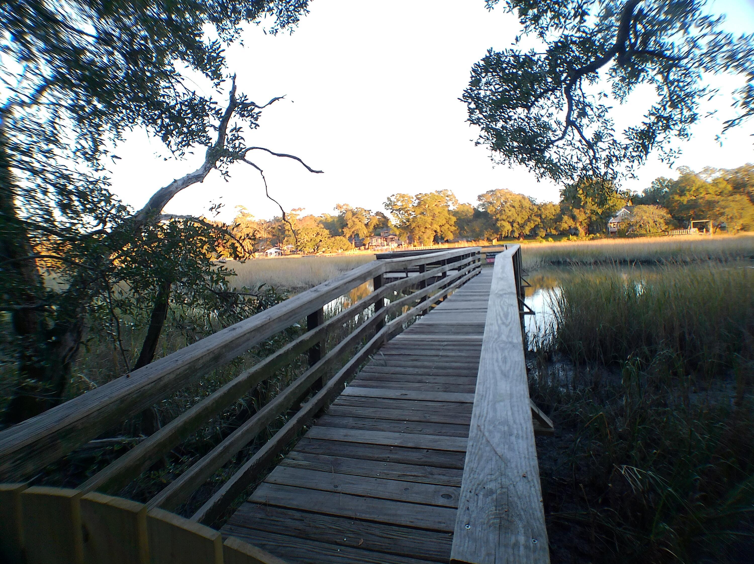 Photo #19