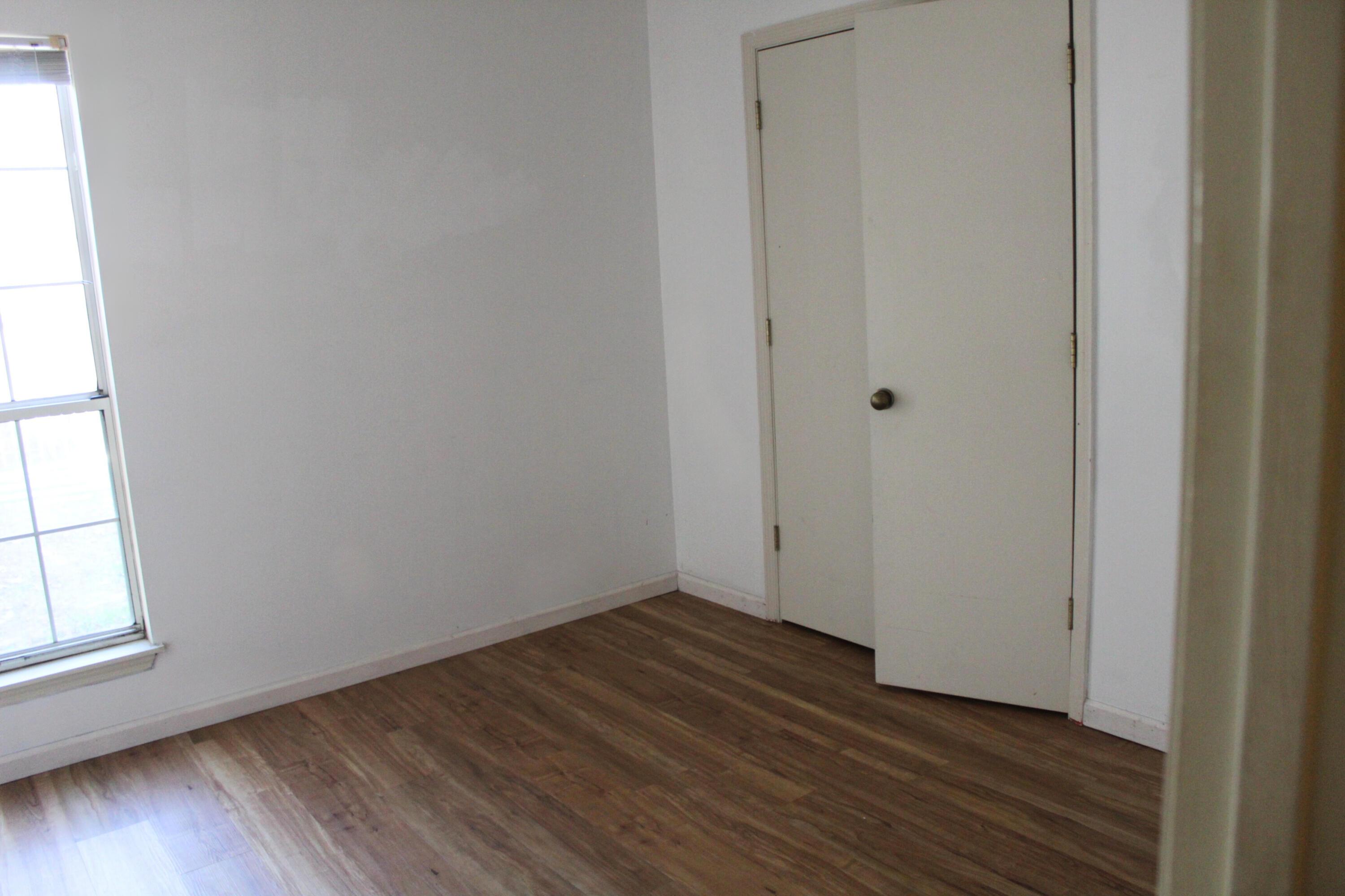 Photo #15