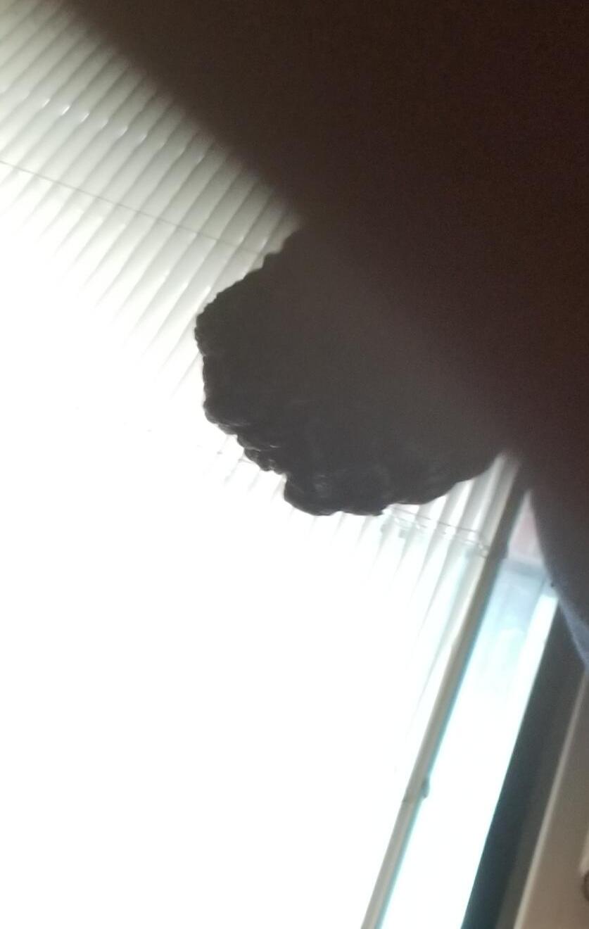 Photo #29