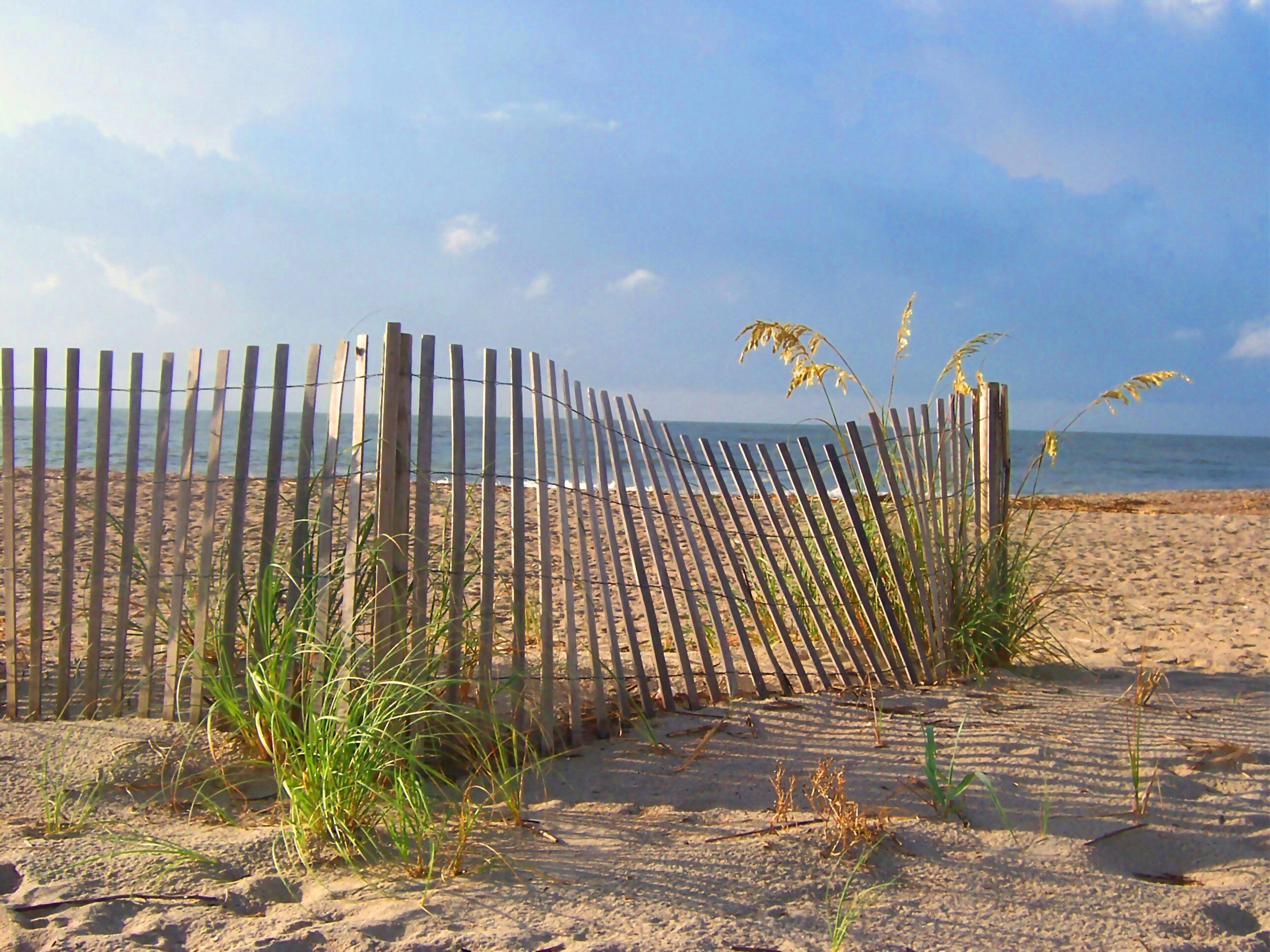 Photo #19