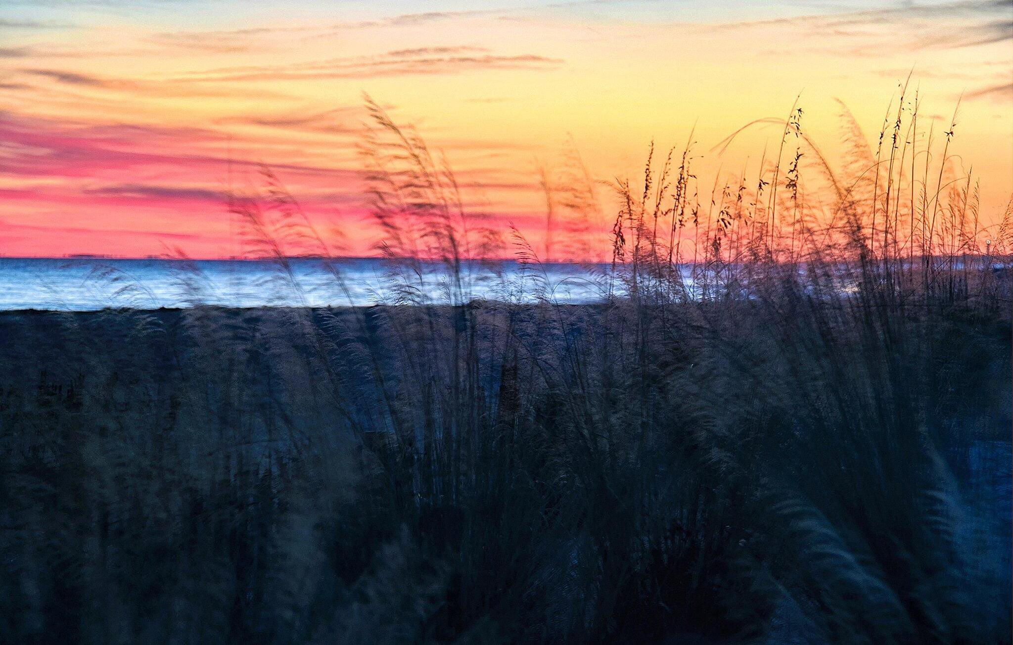 Photo #66