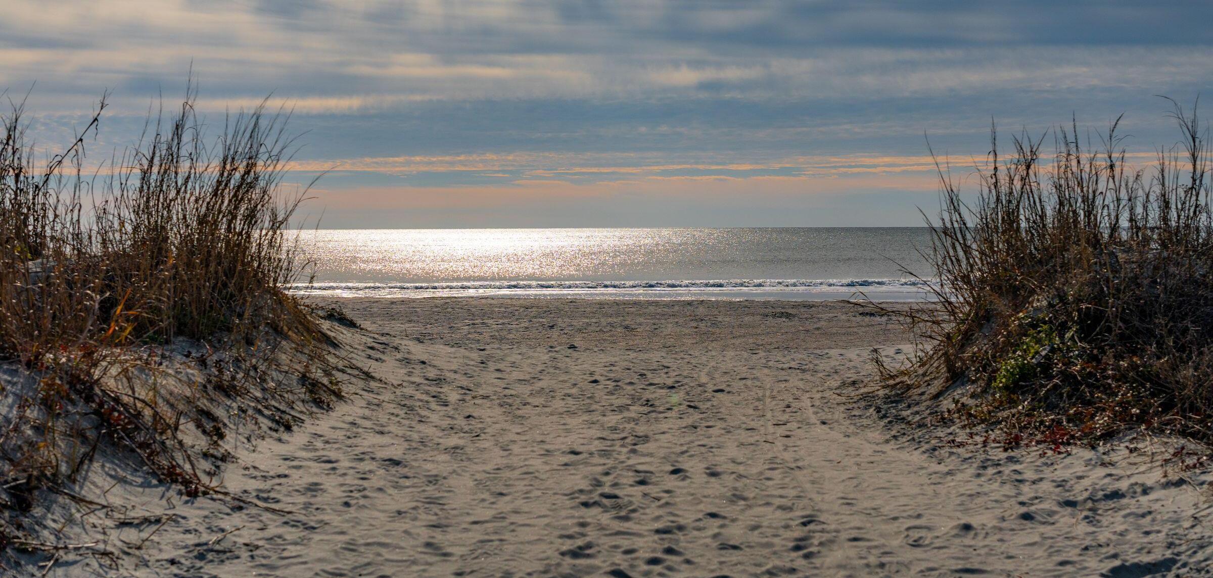 Photo #65