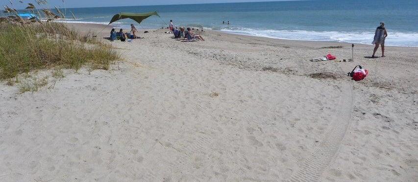 Photo #39