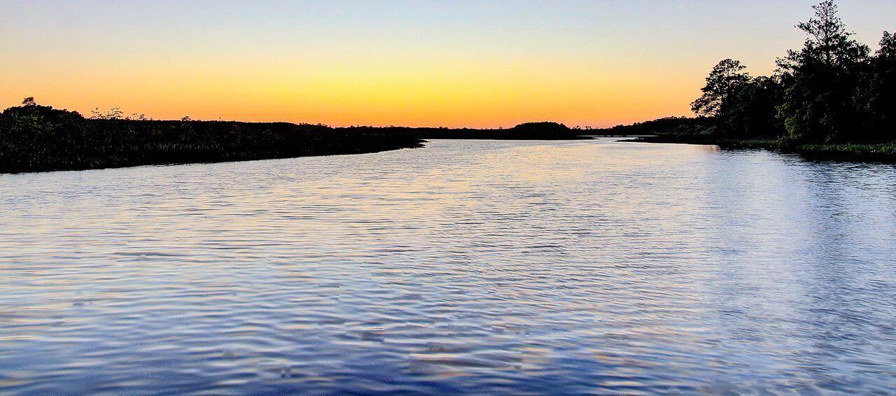 Photo #79