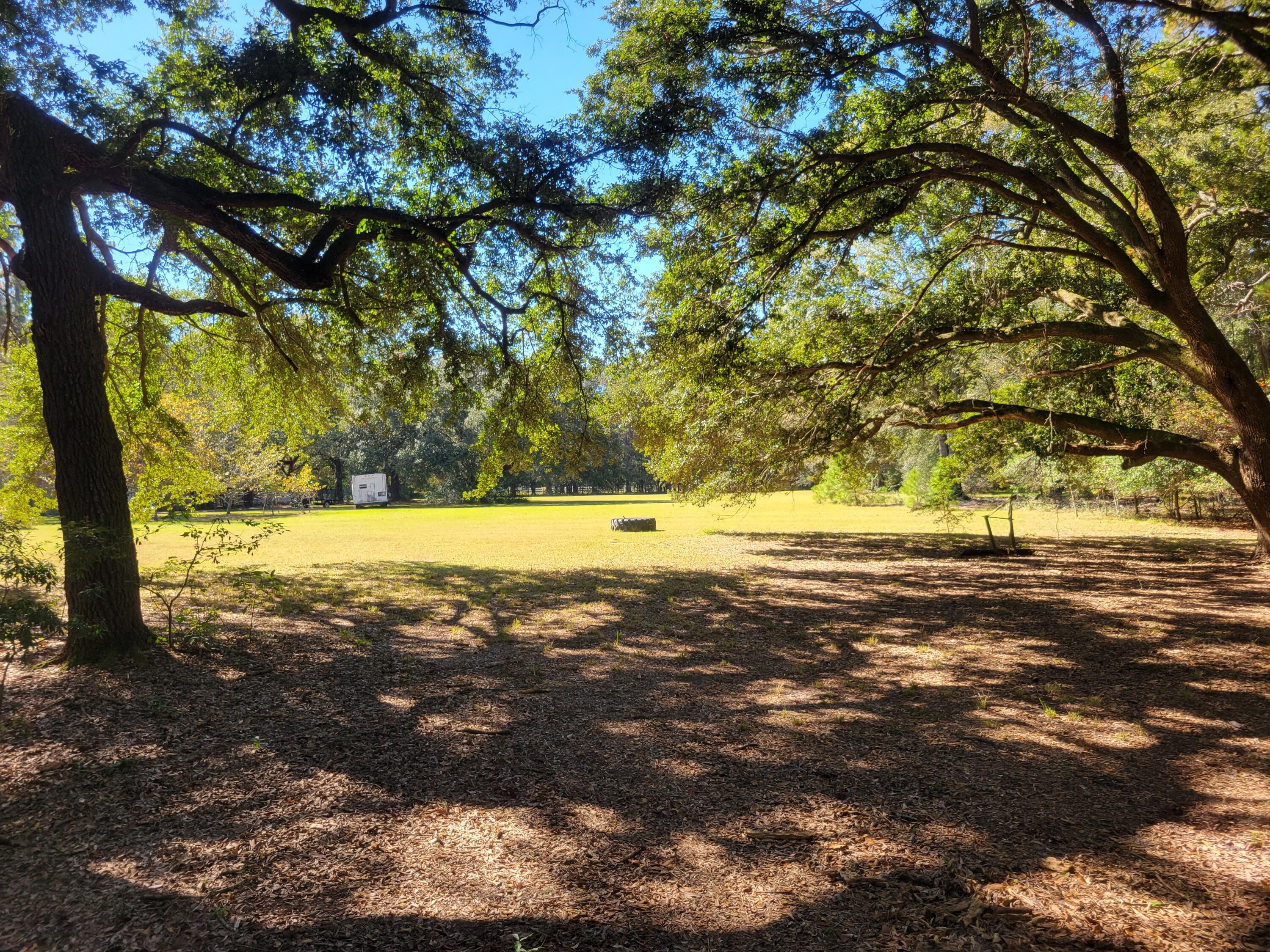 Photo #35