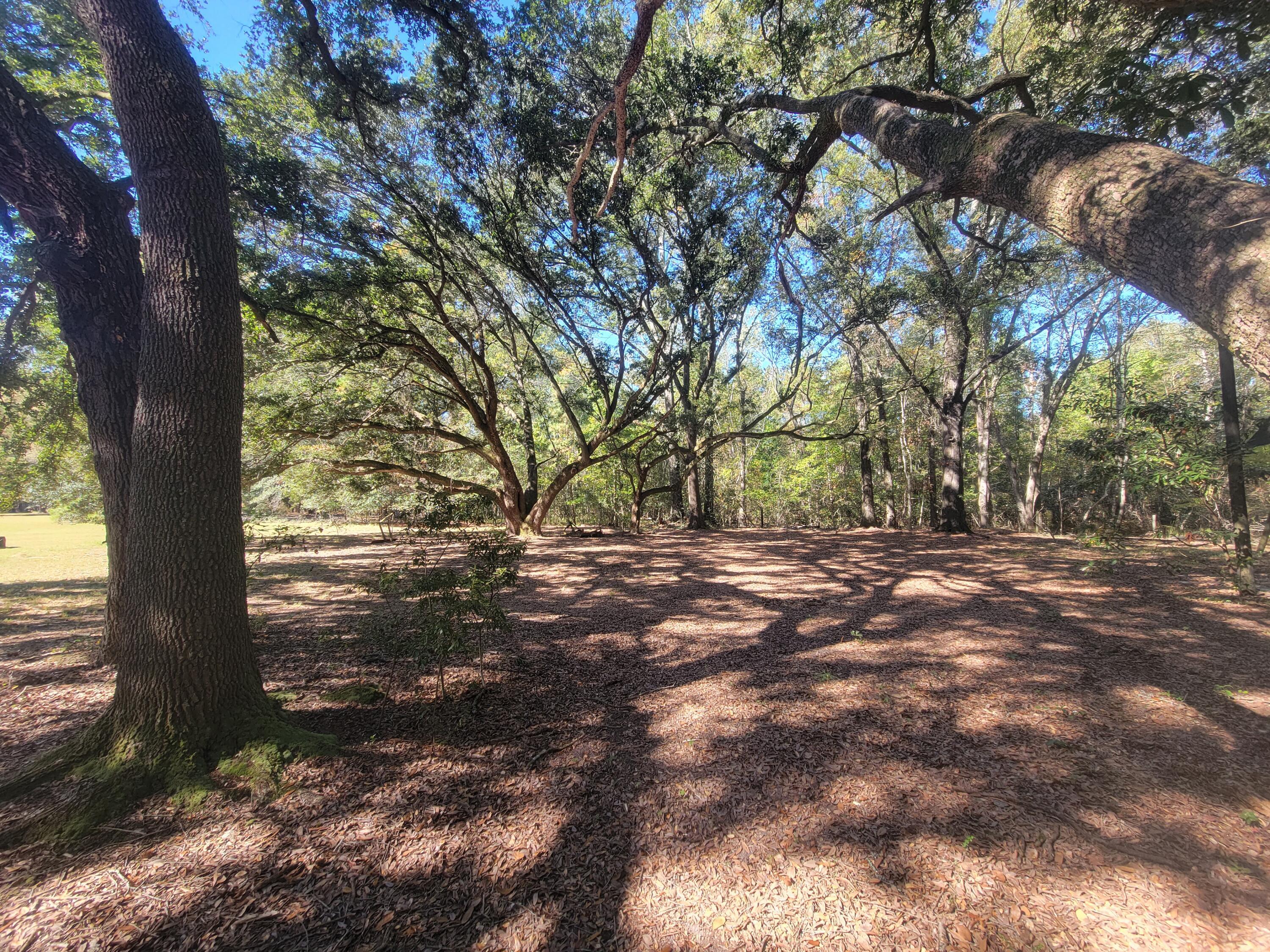 Photo #37