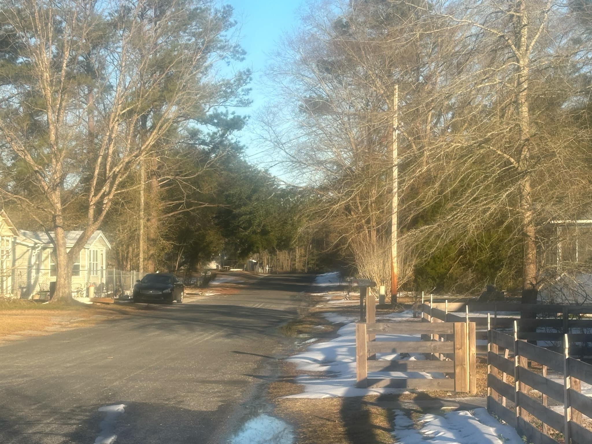 Photo #6