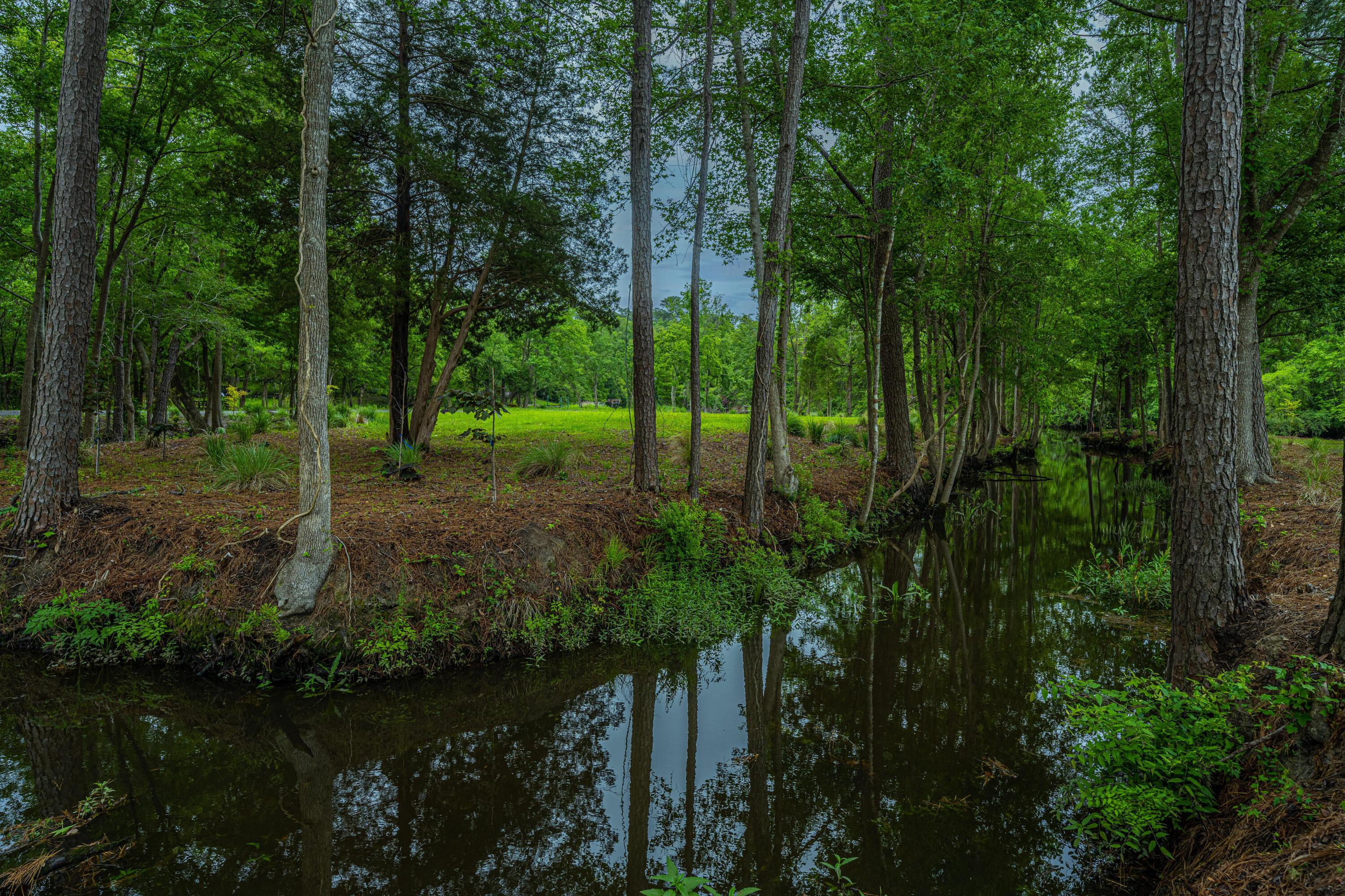 Photo #89