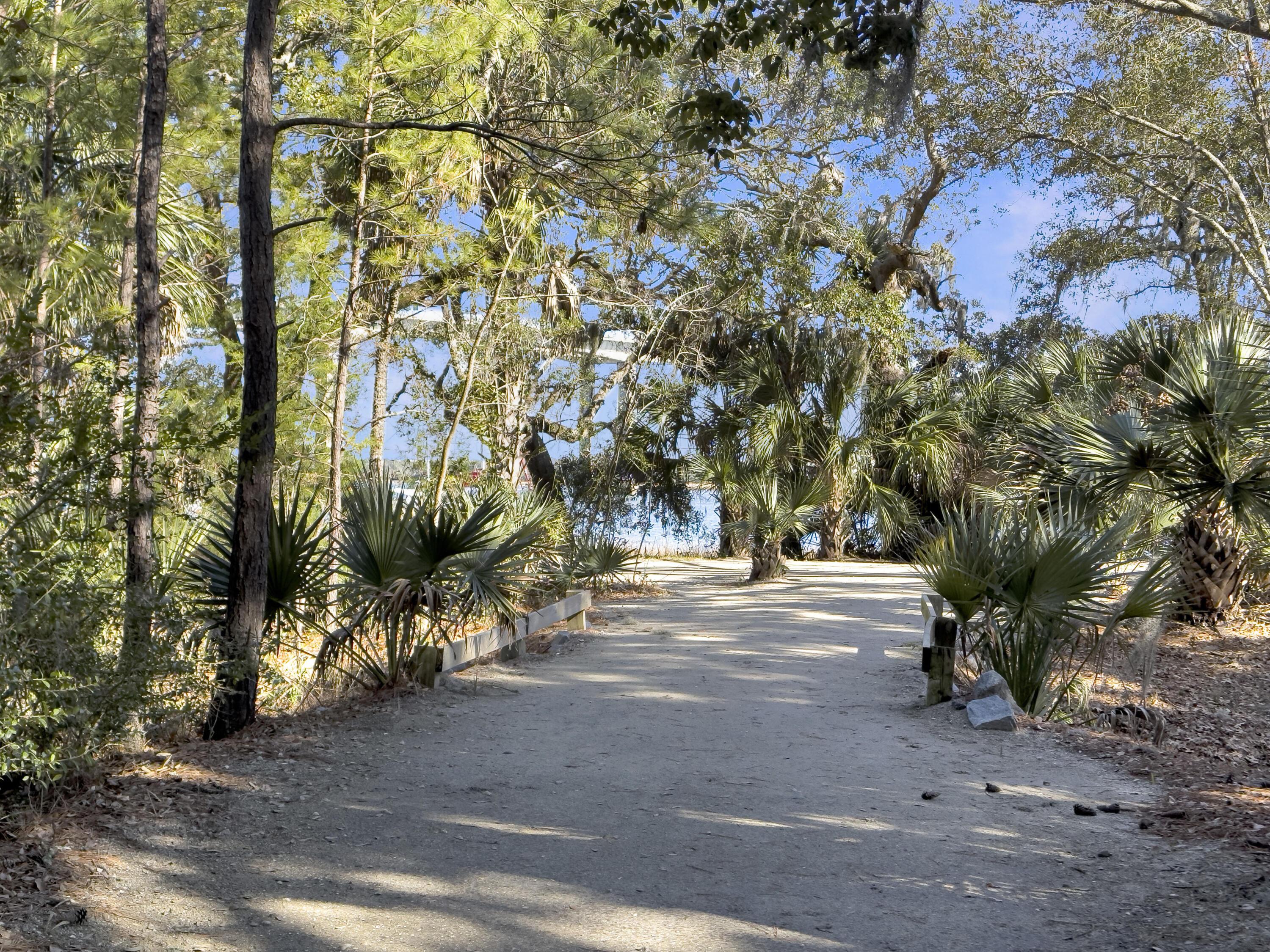 Photo #33