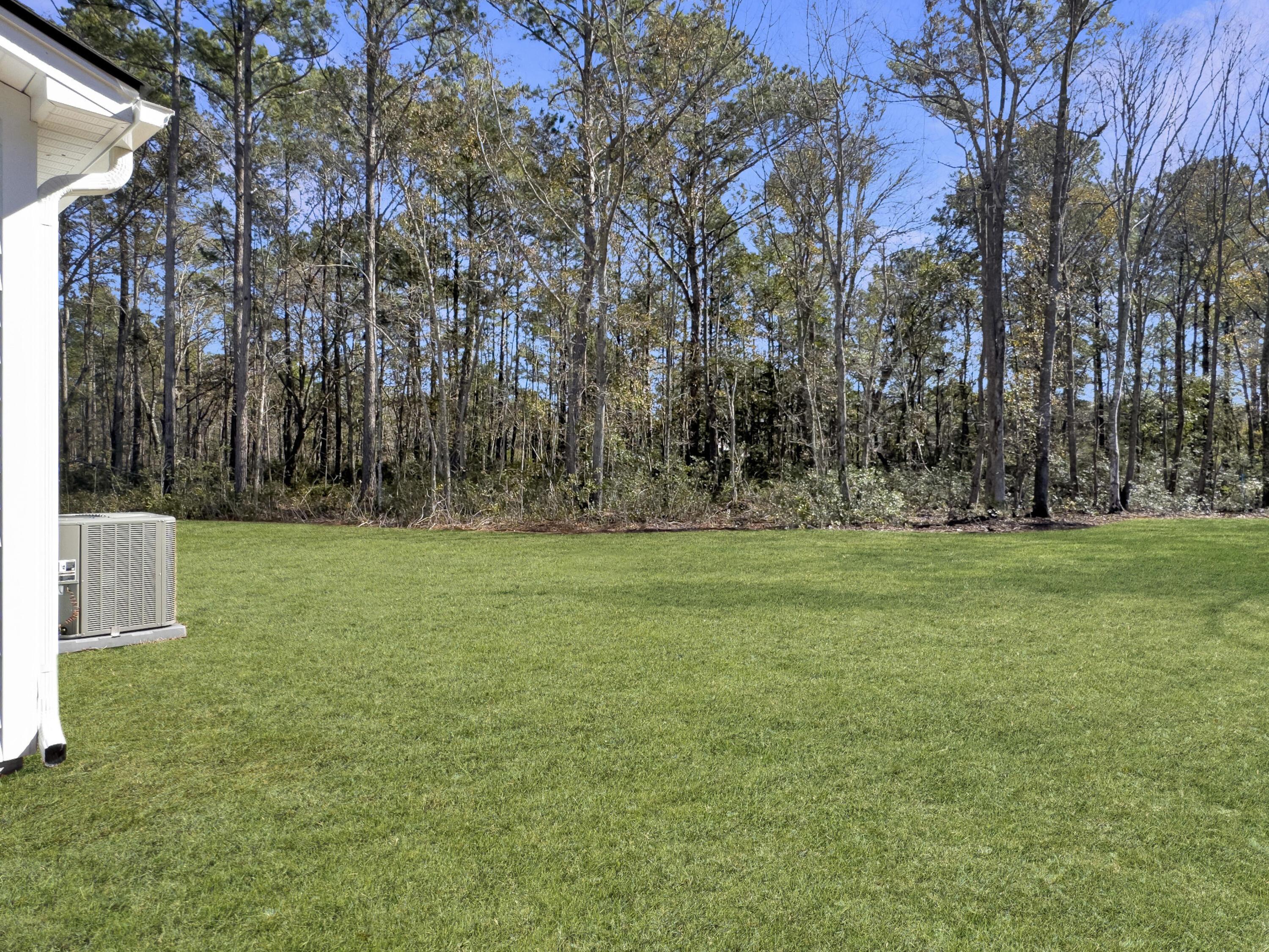 Photo #36