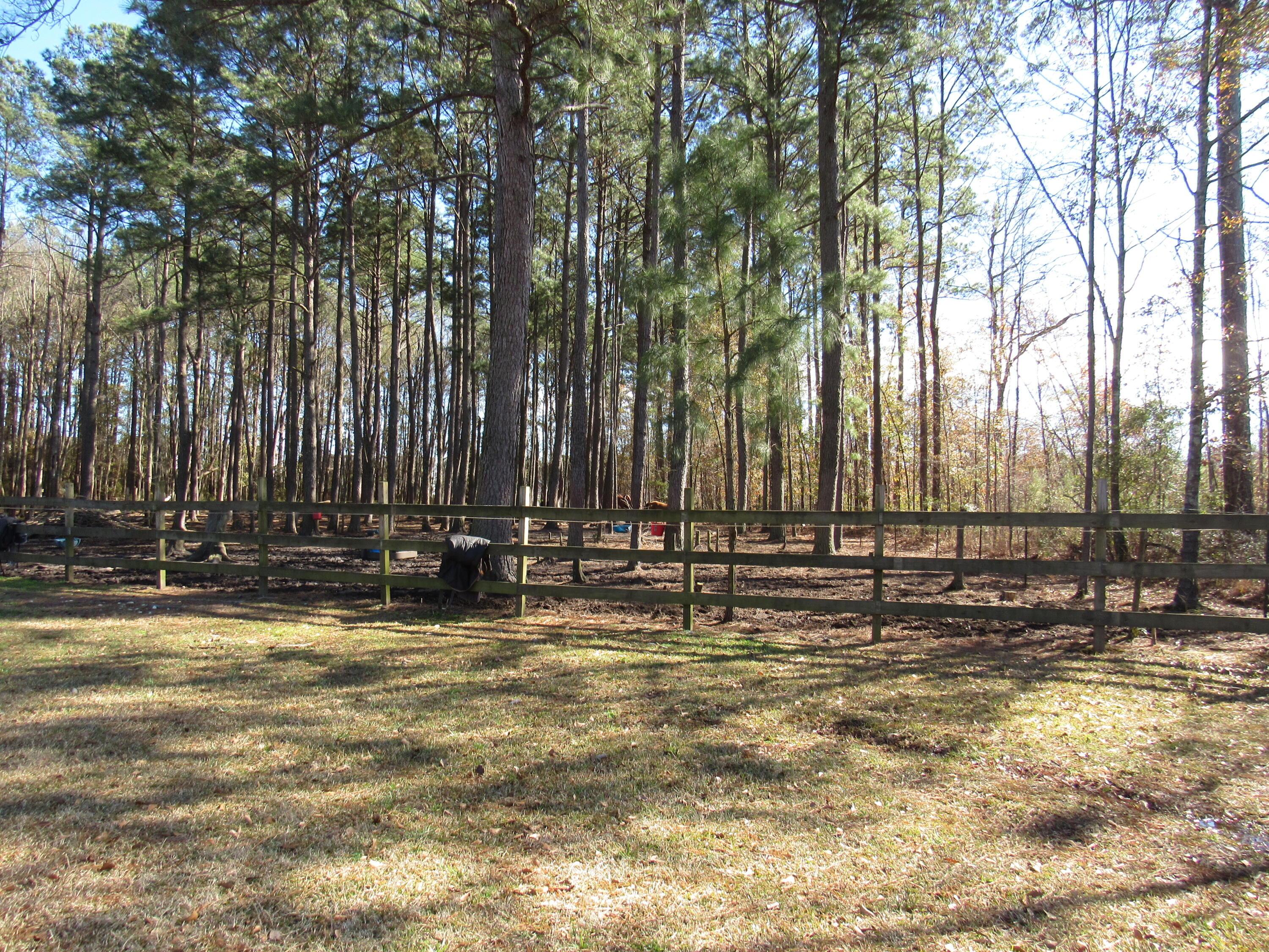 Photo #49