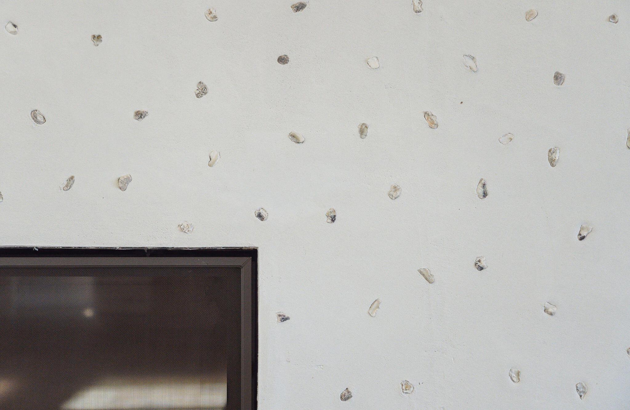 Photo #10