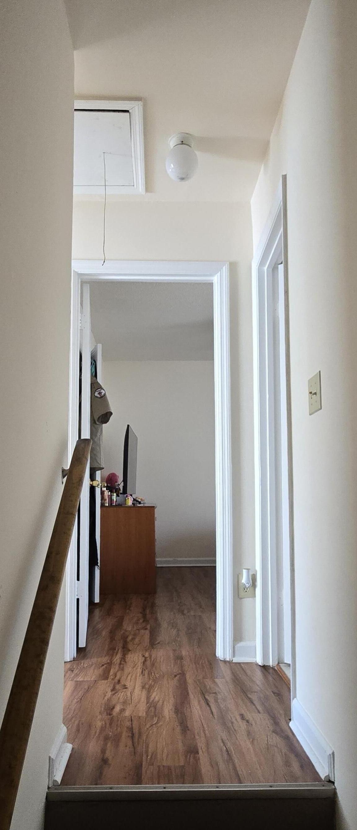 Photo #10