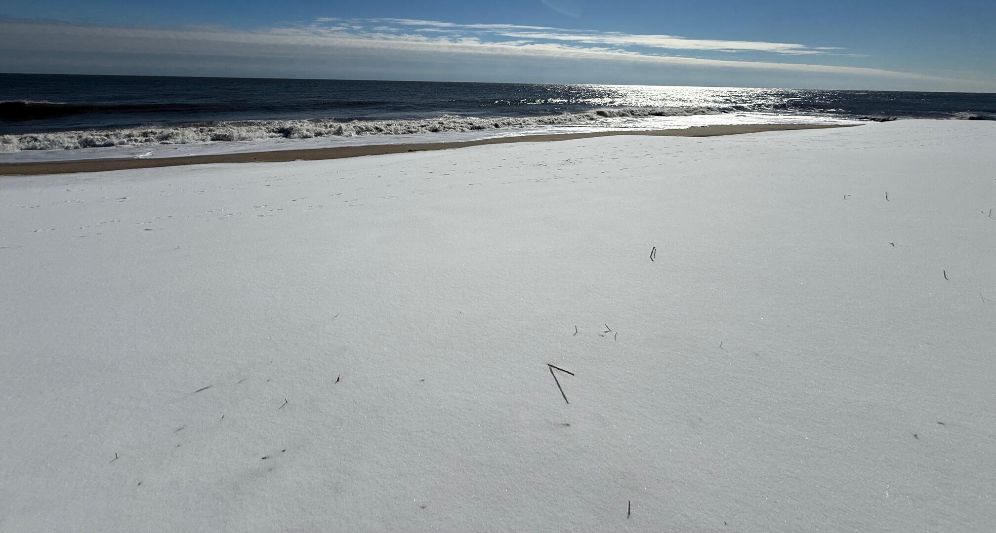 Photo #66